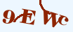 验证码